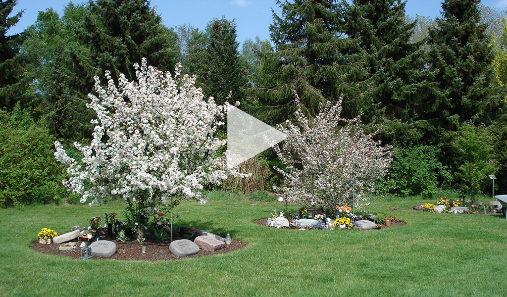 Baumpark auf dem Friedhof Rellingen