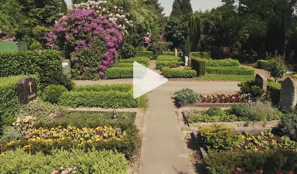 Friedhof mit Wahlgräbern mit Weg und Busch