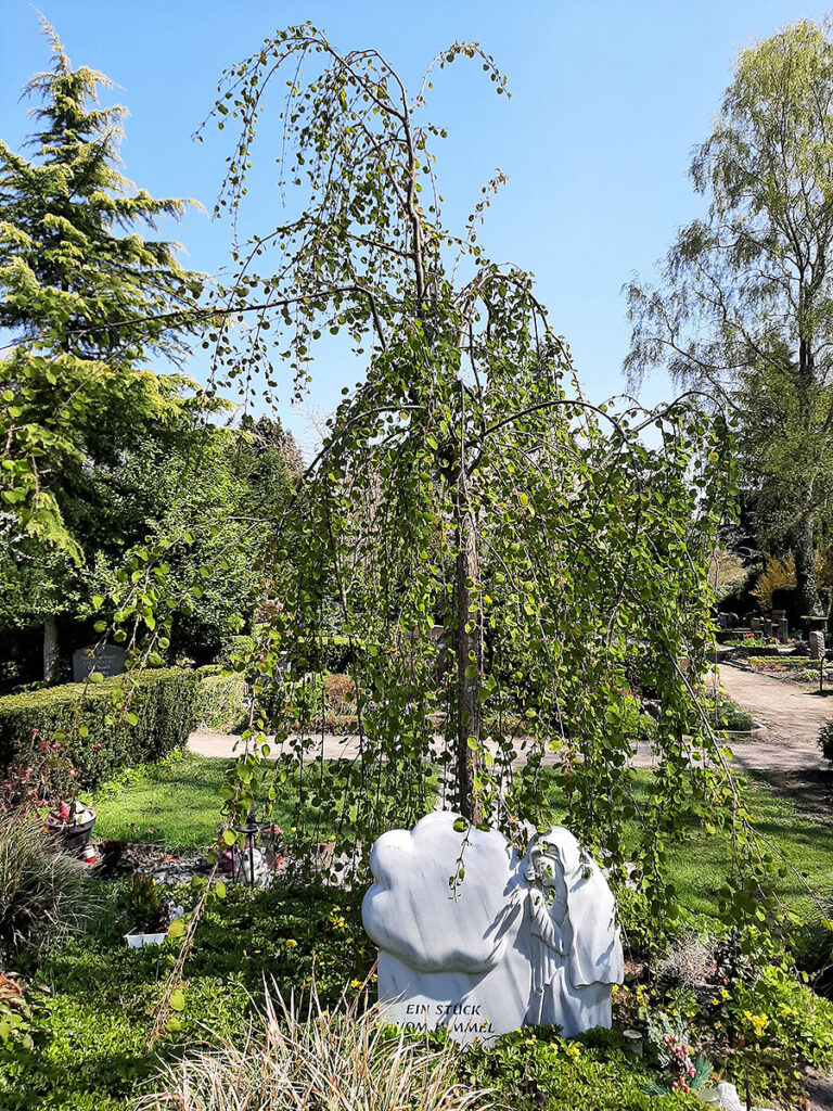 Kinderreihengräber (Sarg-/Urnengrab) und Sternenkindergrabstätte auf dem Friedhof Rellingen