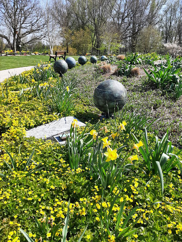 Wasserurne im Staudenbeet mit Narzissen im Baumpark auf dem Friedhof Rellingen