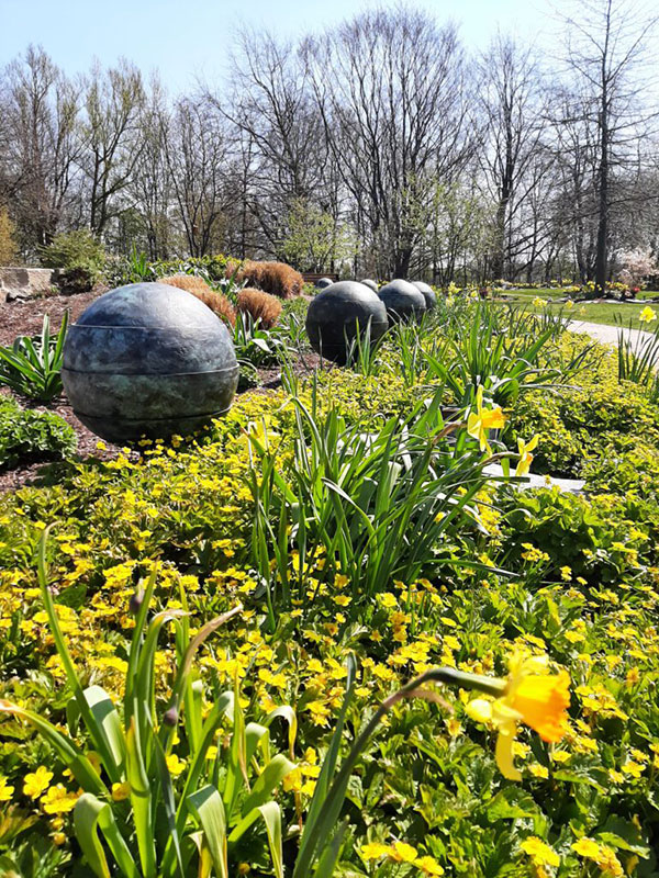 Wasserurne im Staudenbeet mit Narzissen im Baumpark auf dem Friedhof Rellingen