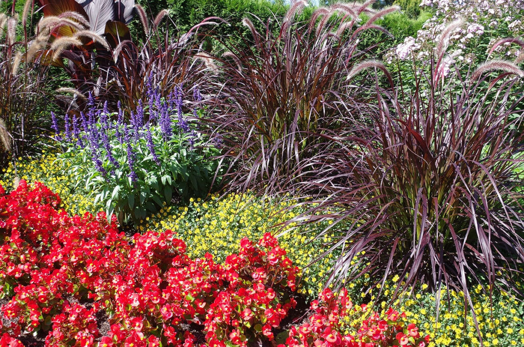 Sommerbepflanzung Friedhof Eisbegonien, Gräser, Blüten in Rot, Gelb, Grün